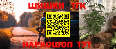 СК Гагарин