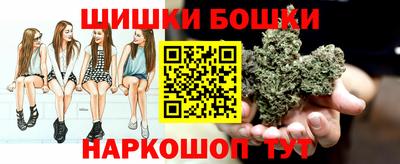 СК Гагарин